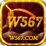 W567 Game