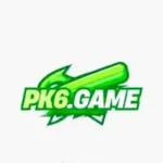 PK6 Game