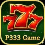 P333 Game