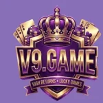 V9 Game